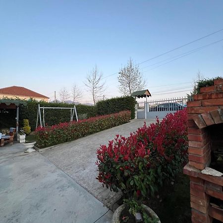 Kamez Villa Cerpja מראה חיצוני תמונה